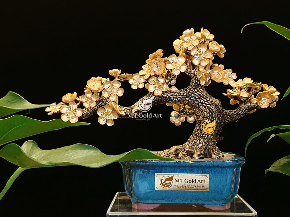 Chậu Hoa Mai Dát Vàng - Quà tết ý nghĩa 