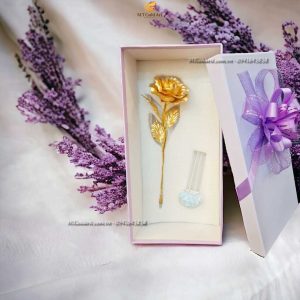 lo hoa hong qua tang valentine y nghia8