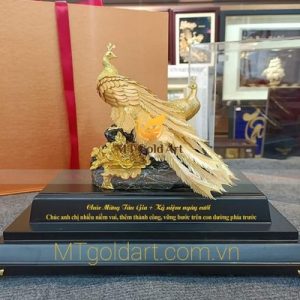 tuong doi cong xoe duoi