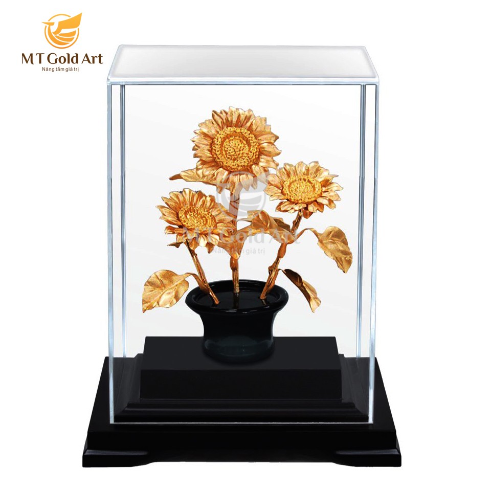 Chau huong duong dat vang