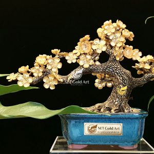 chau cay hoa mai dat vang