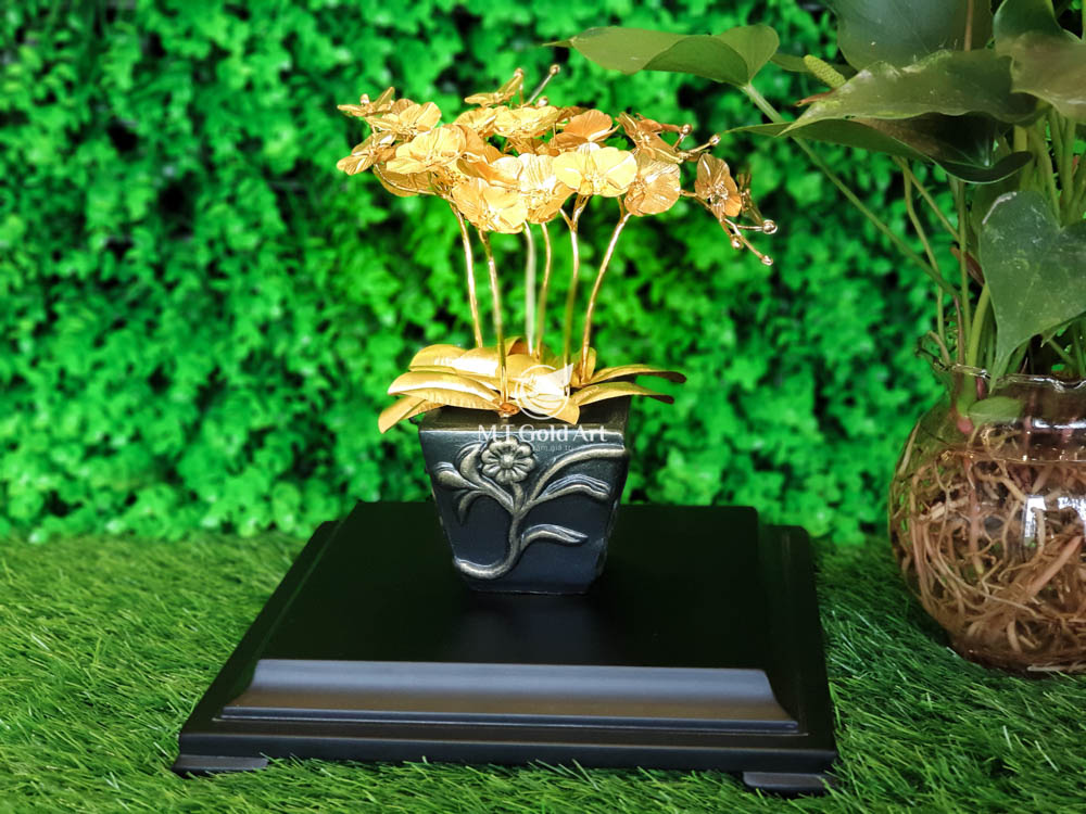 chau hoa lan dat vang 24k 2