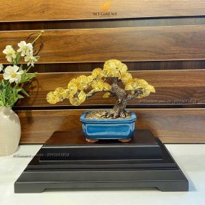Chậu Cây Tùng La Hán dát vàng (20x26x9cm) qua tang doanh nhan Chau cay tung la han