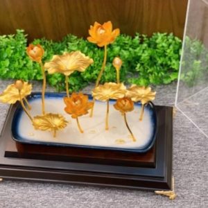 Chậu hoa sen- Quà tặng sếp nữ cao cấp