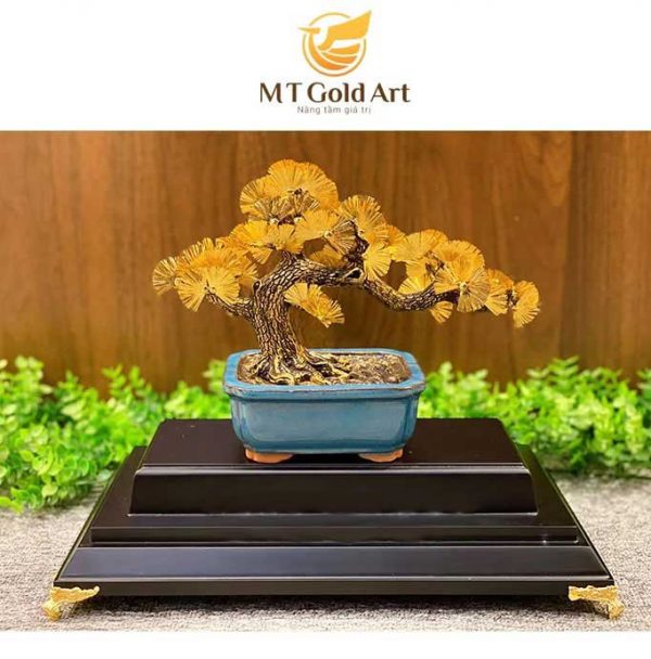 cây tùng la hán- quà tặng phong thủy cao cấp