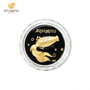 cung hoang dao bao binh Aquarius 768x768