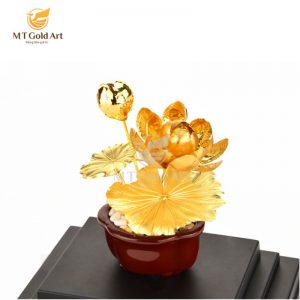 chau cay sen dat vang 17x13.5x22cm1