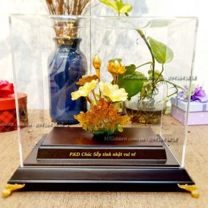 chau hoa sen qua tang sinh nhat sep