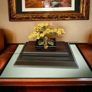 Chậu hoa mai ngũ phúc- quà tết cao cấp ý nghĩa