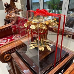 quà tặng khách hàng cao cấp, ý nghĩa- chậu hoa lan hồ điệp dát vàng