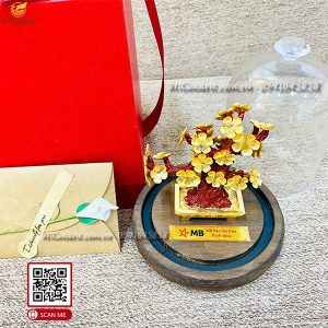 qua tang khach hang cao cap mb bac sai gon chau hoa mai dat vang1