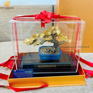 quà mừng thọ ý nghĩa- chậu cây tùng la hán dát vàng