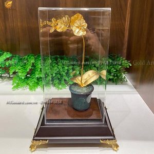 quà tặng khách hàng nữ cao cấp- chậu hoa lan 1 nhánh dát vàng